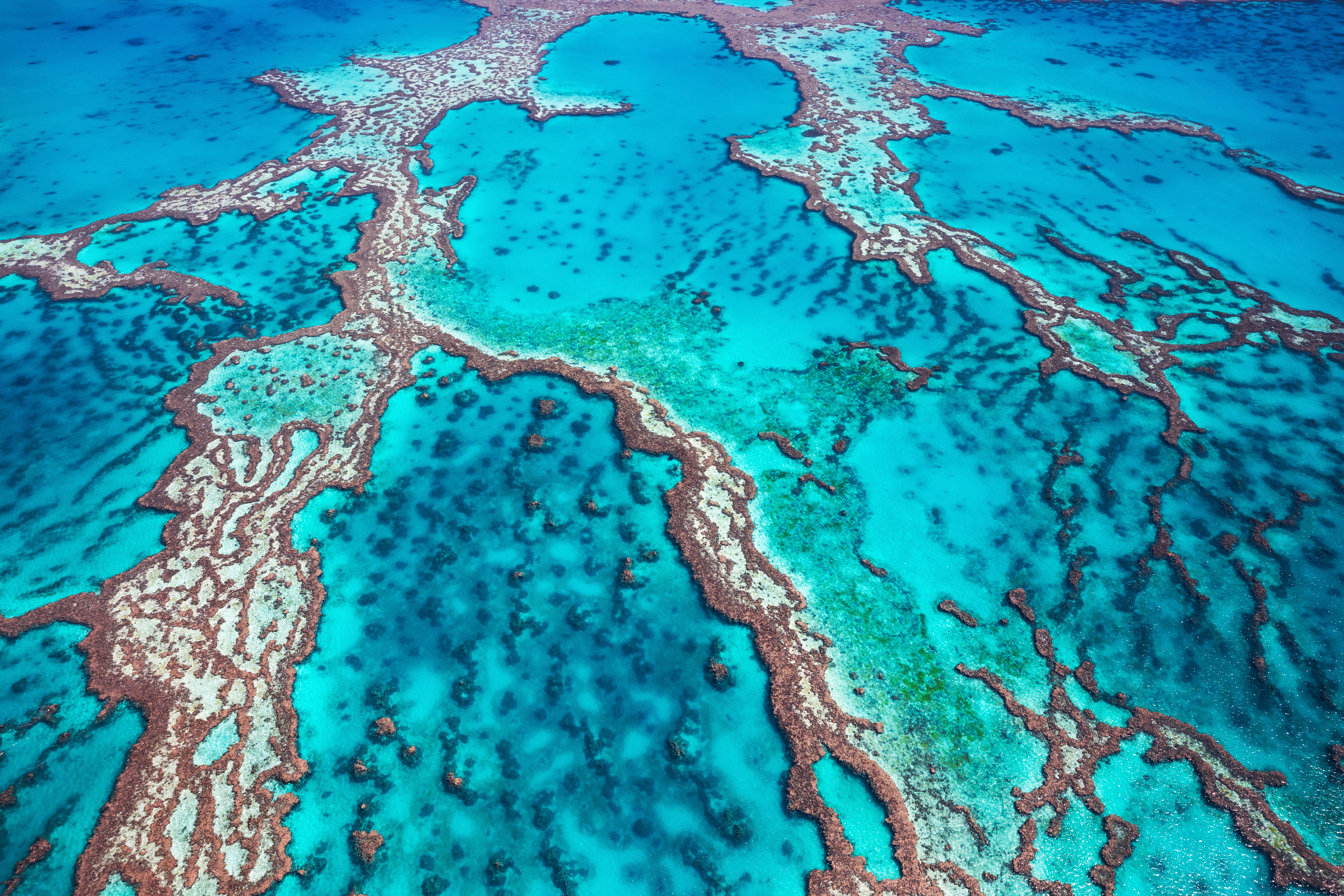 GreatBarrierReef