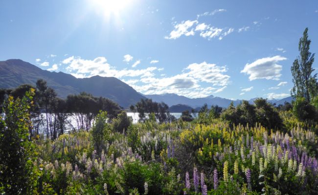 NeuseelandLake Wanaka 1