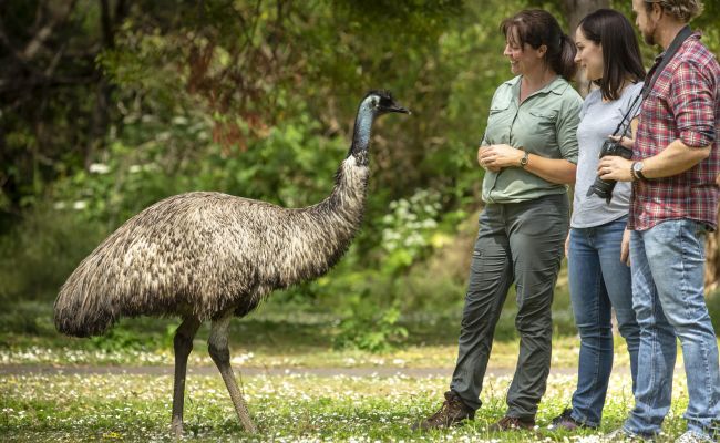 AustraliaTourism