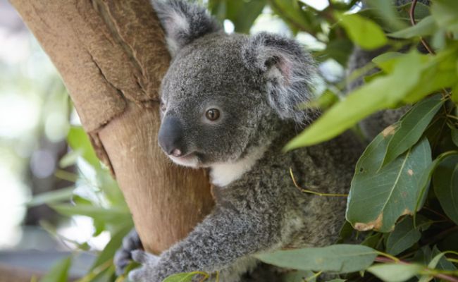 Photocredit: Tourism Australia