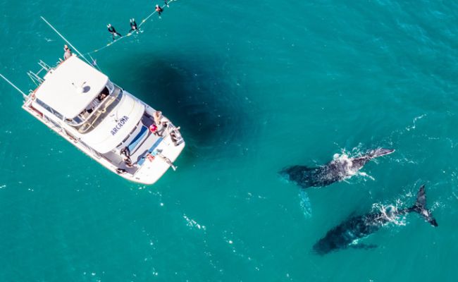 Photocredit: Tourism Australia