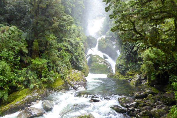 NeuseelandMilford Track 3