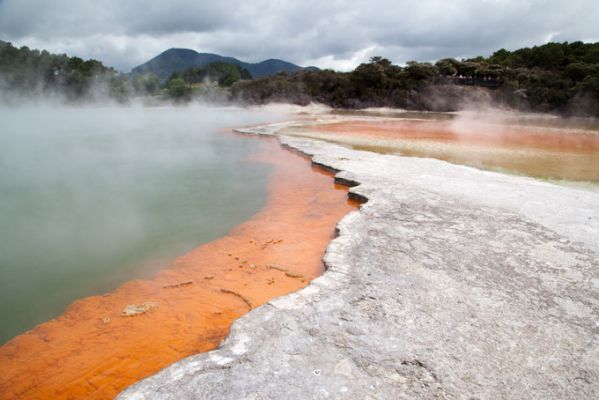 NeuseelandThermalgebiet Rotorua 1