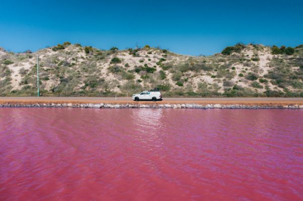 CamperBritzAustralienWestaustralien PinkLake