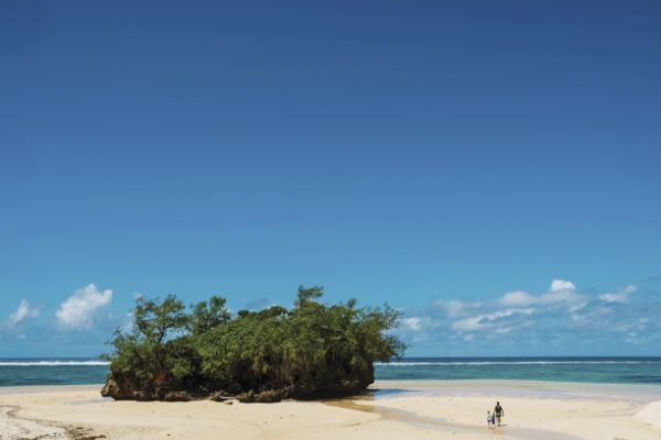 FijiCoralCoastBeach Scene