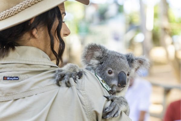 Photocredit: Tourism Australia