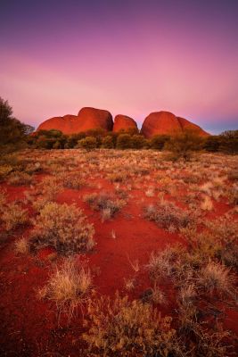 HDAustralienNTKata TjutaPurple Skies 127342 35