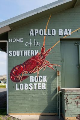 HDAustralienVICGreat Ocean RdApollo Bay 153028 56