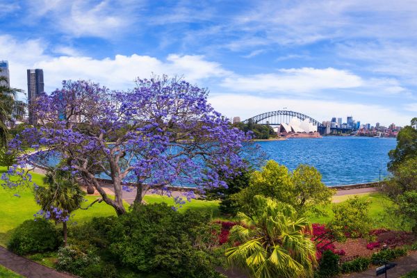 HDAustralienNSWSydneyRoyal Botanic Garden 162914 2