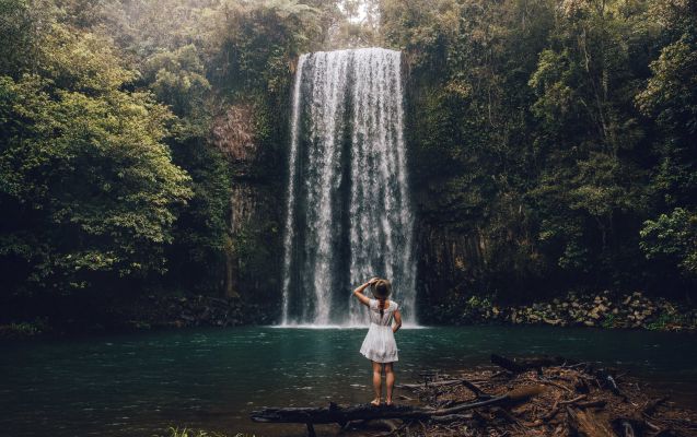 HDAustralienQLDAtherton TablelandsMillaa Millaa Falls 137698