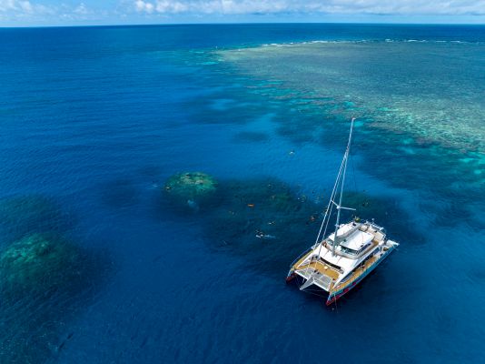 HDAustralienQLDGreat Barrier ReefPassions of Paradise 152232
