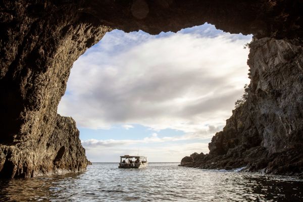 HDNeuseelandAucklandGoat Island 234218