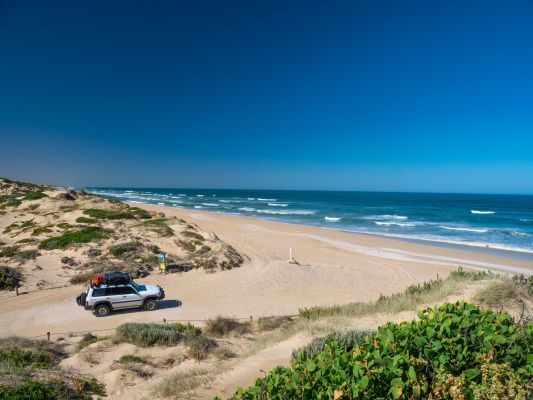 HDAustralienSALimestone CoastCoorong NP Auto 155624